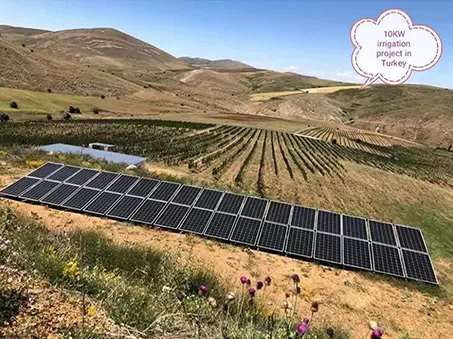 Cultivating Sustainability: Turkey's 10KW Solar Pump Irrigation System